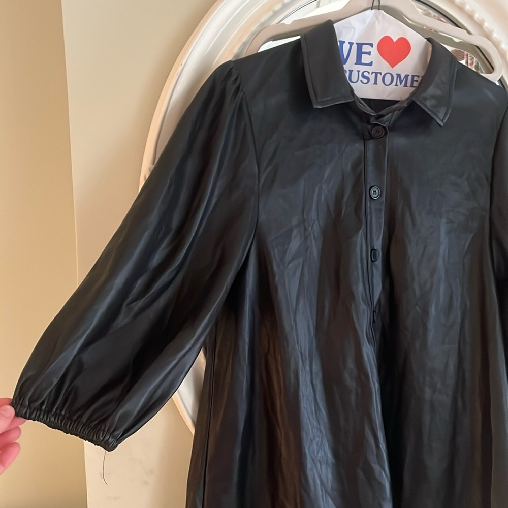 Zara Faux Leather Dress